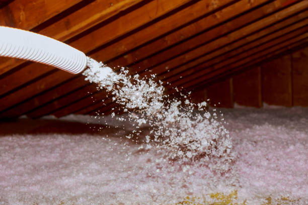 Best Spray Foam Insulation in South Henderson, NC