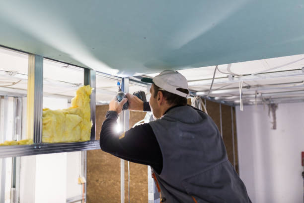 Best Insulation Maintenance and Repair in South Henderson, NC