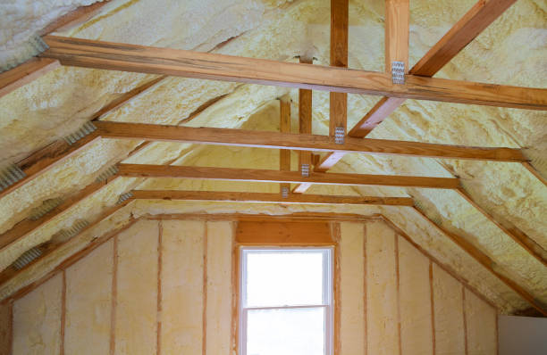 Best Specialized Insulation Services in South Henderson, NC