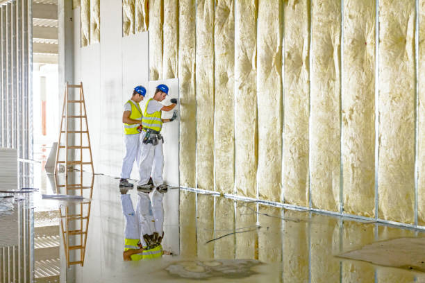 Trusted South Henderson, NC Insulation Contractor Experts